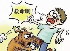 如遇惡犬咬人該怎么辦？這些知識(shí)也許能救命！