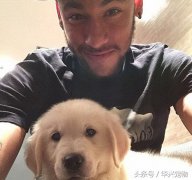 世界杯來(lái)了！讓我們扒一扒這些超級(jí)巨星們都在