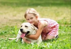 養(yǎng)狗一陣子，狗記一輩子