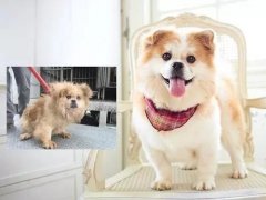 沒(méi)有誰(shuí)，天生丑陋。