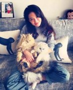 全世界最貴的貓都在這了！大多數(shù)人一輩子都沒