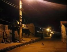 記憶中的老街巷口，有沒有一條等你回家的狗？