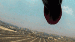 請你放過狗狗，不愛，但請別傷害！