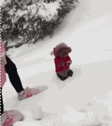 當(dāng)南方狗到了北方后...笑瘋了！