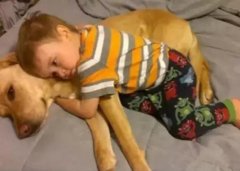 養(yǎng)狗千日，用在一時(shí)。。。。。