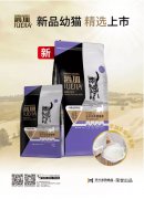 爵加新品幼貓精選上市！