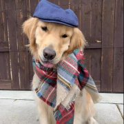 你就是那汪界網(wǎng)紅、弄潮兒?