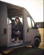 流浪貓私自闖上車被趕出，最后居然搭上順風(fēng)車