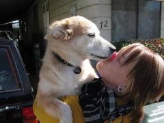 狗狗喜歡舔你，原來是想告訴你這些！