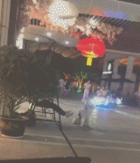 假如狗子能上網(wǎng)打字發(fā)圈，它會說... ?