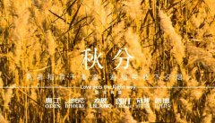 秋分丨晝夜分畫，漸入秋華