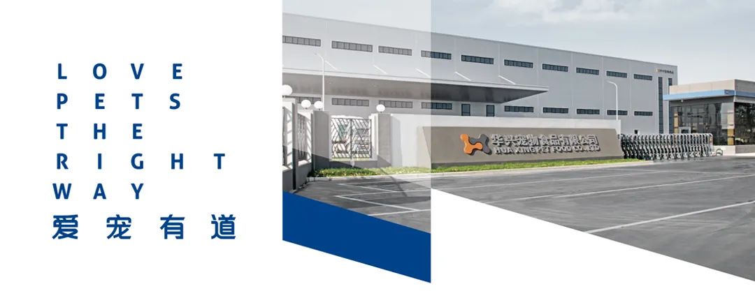 喜訊！華興公司分別榮獲“環(huán)境管理體系”“職業(yè)健康安全管理體系”認(rèn)證證書