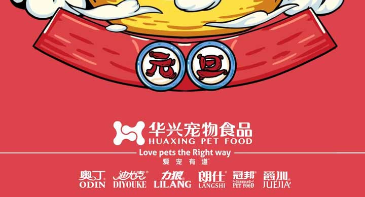 元旦丨新的一年，寵愛有加