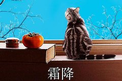 霜降丨縱然霜華盡染，心中美好如初